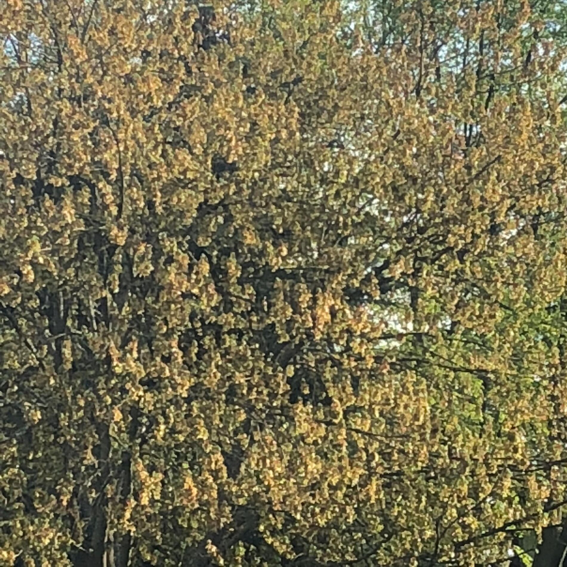 Album cover of Wait
