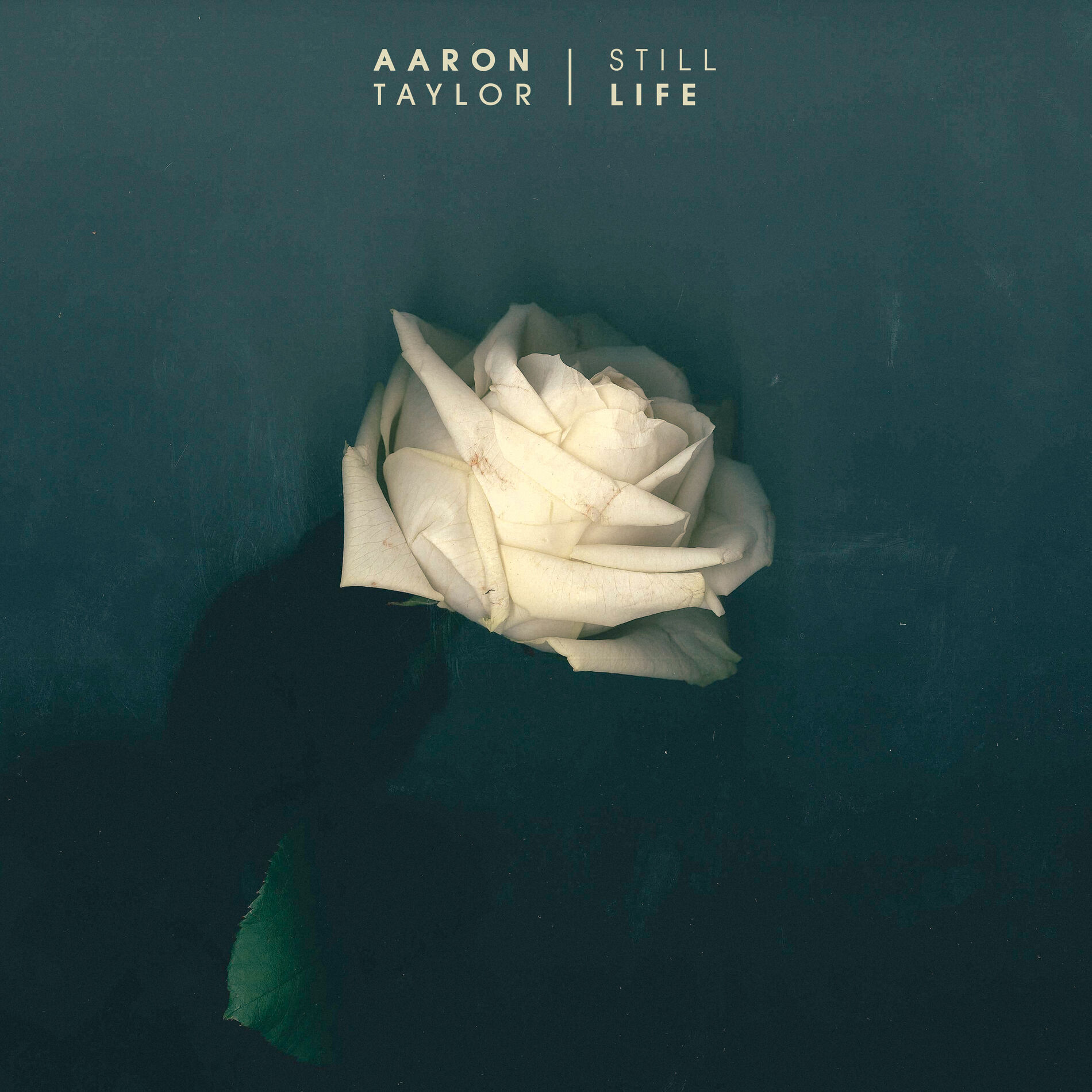 Album cover of Lesson Learnt