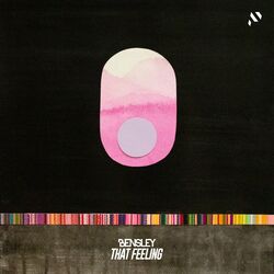 Cover of That Feeling