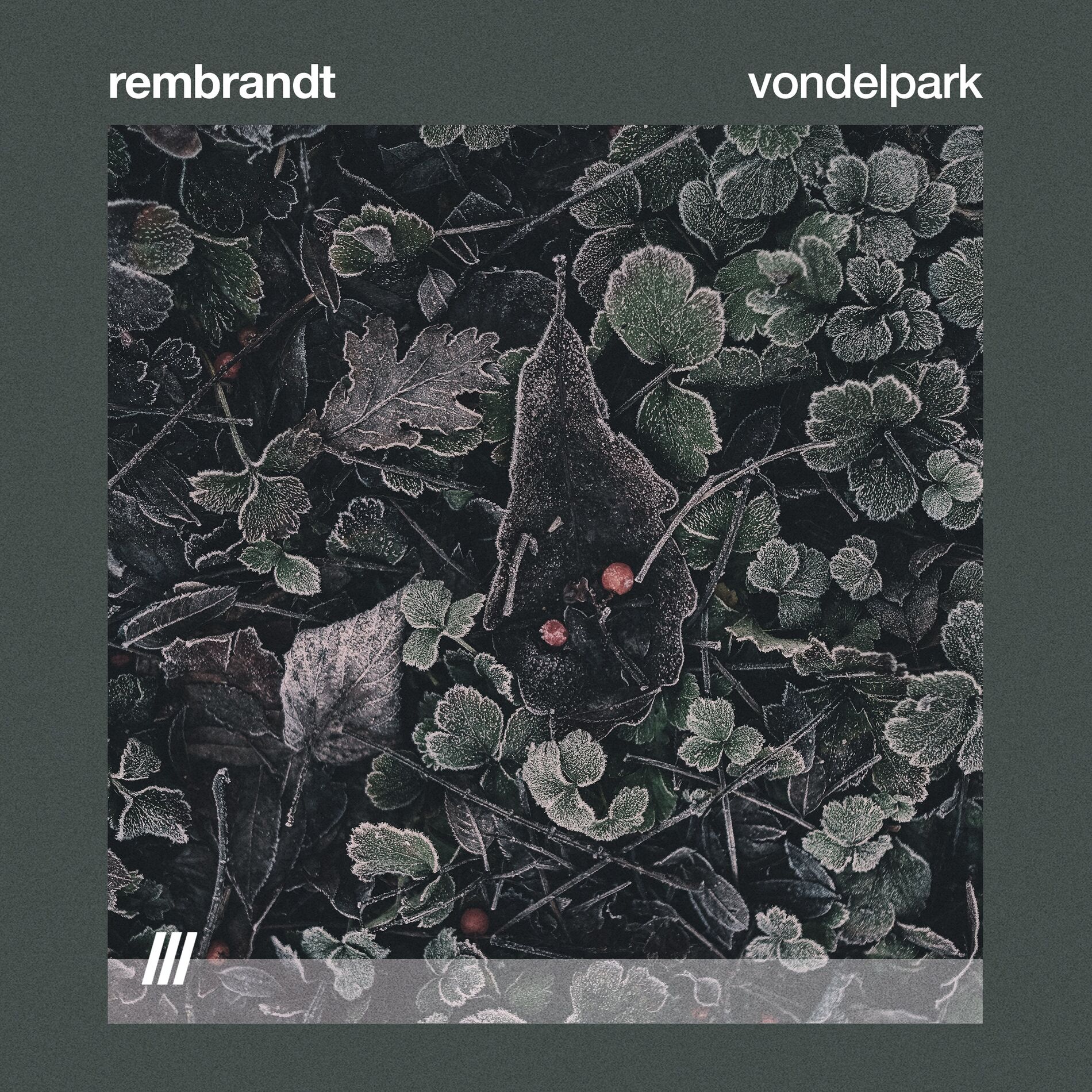 Album cover of Vondelpark