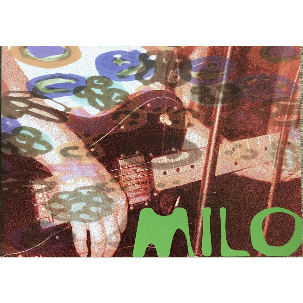 Picture of Milo