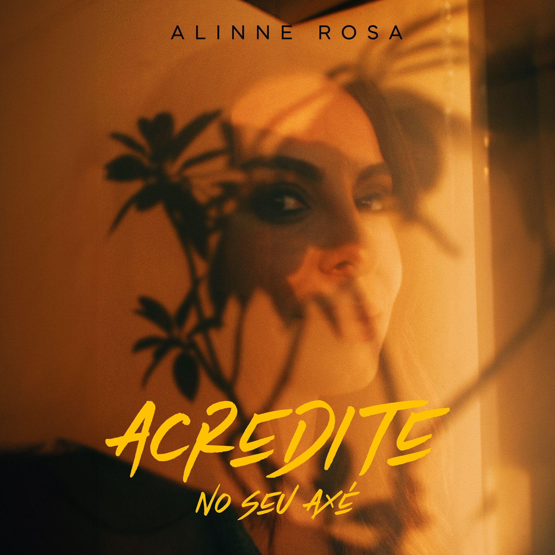 Album cover of Acredite no Seu Axé