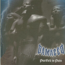 Cover of Purified in Pain