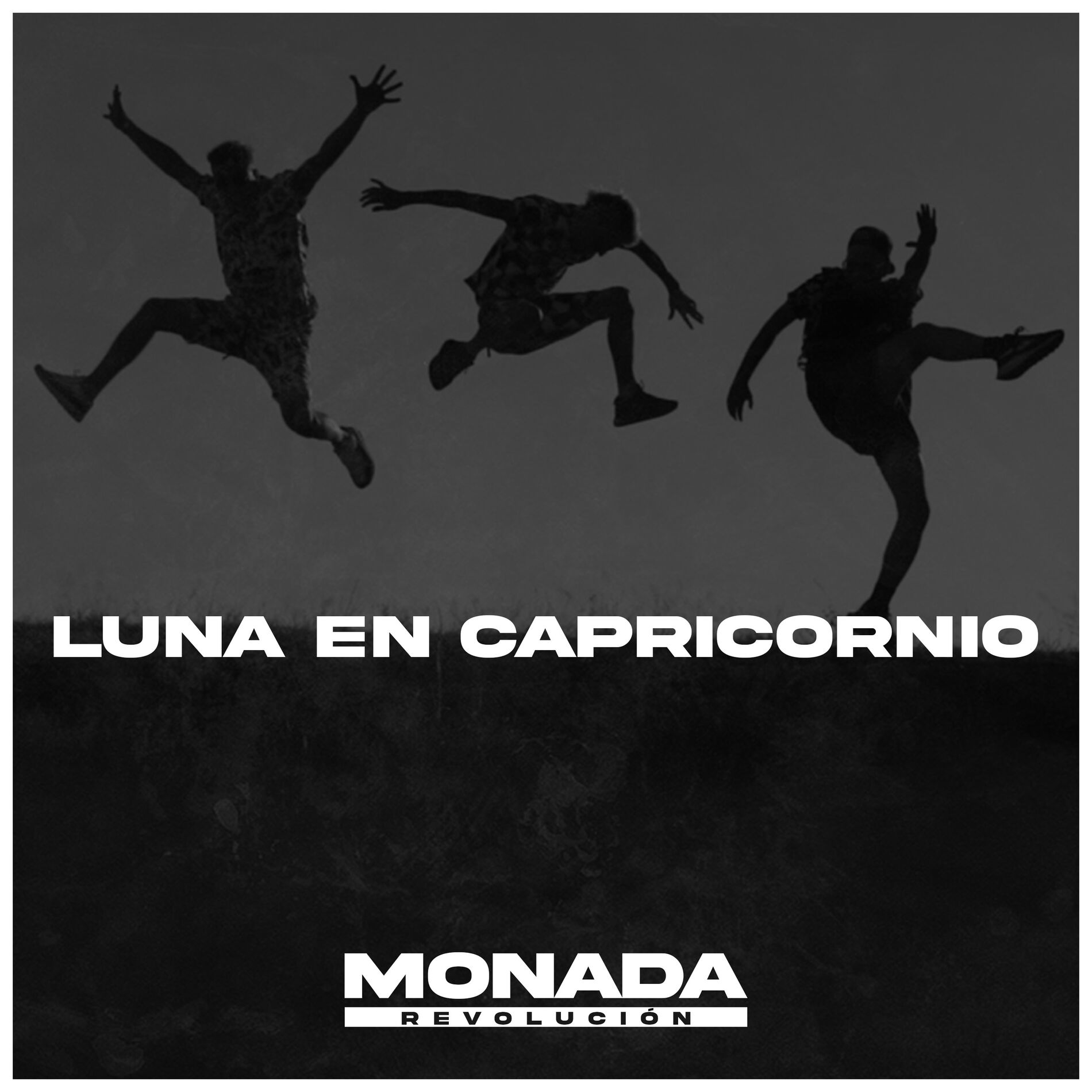 Album cover of Luna En Capricornio