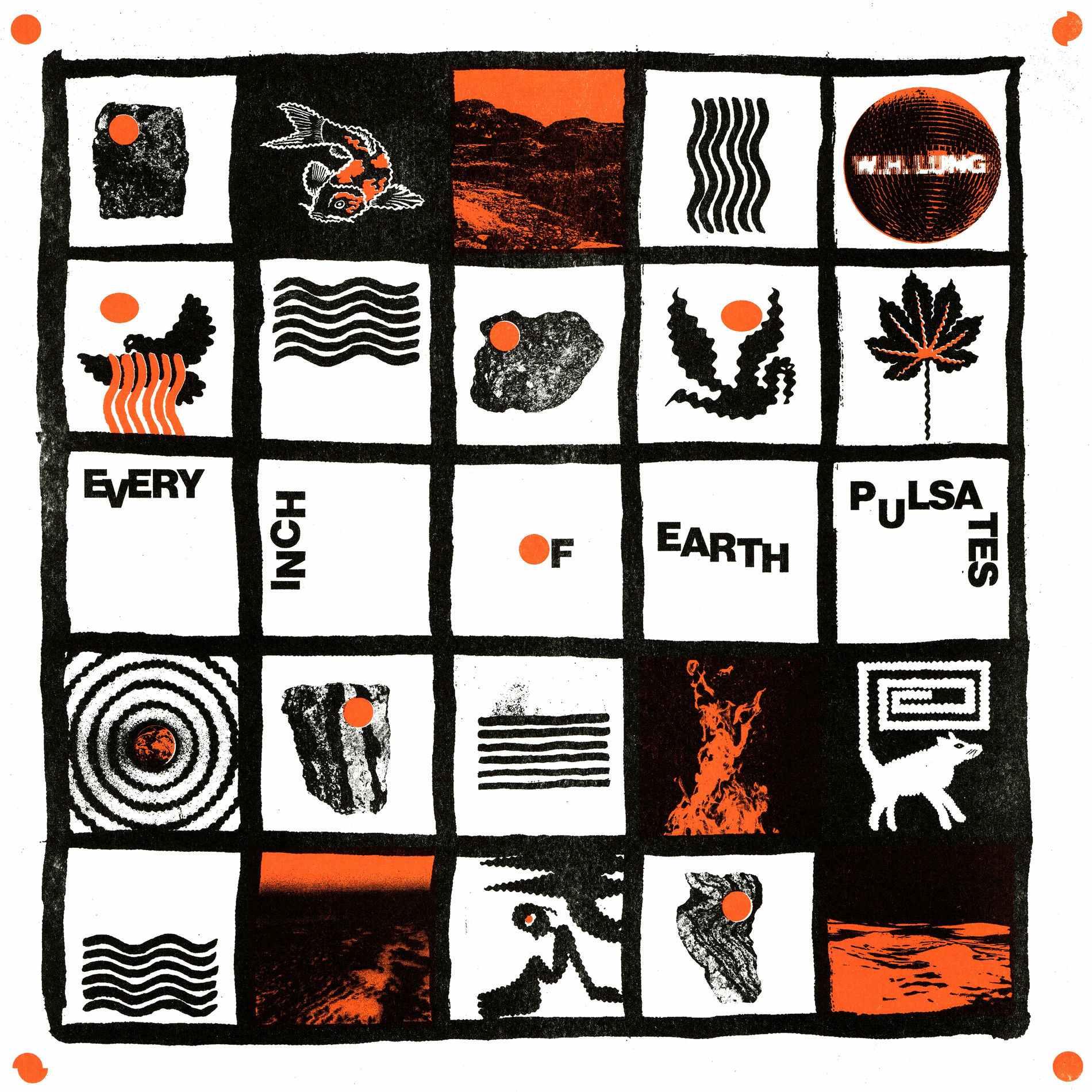 Album cover of Flowers in the Rain