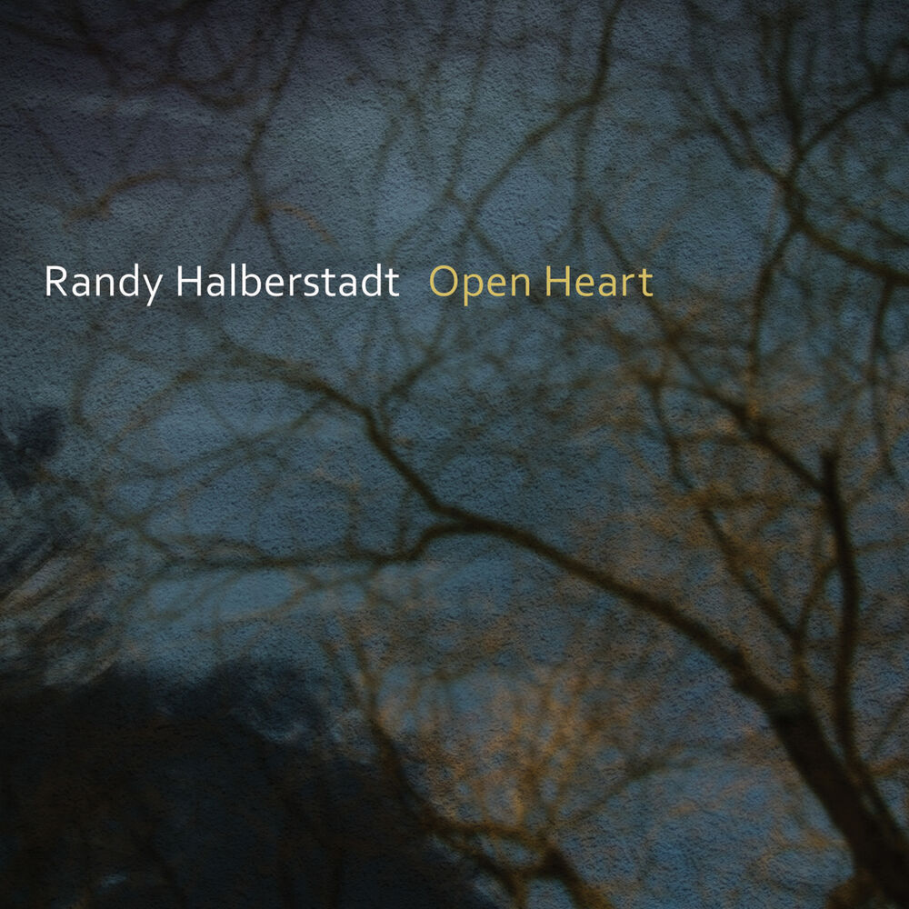 Picture of Open Heart