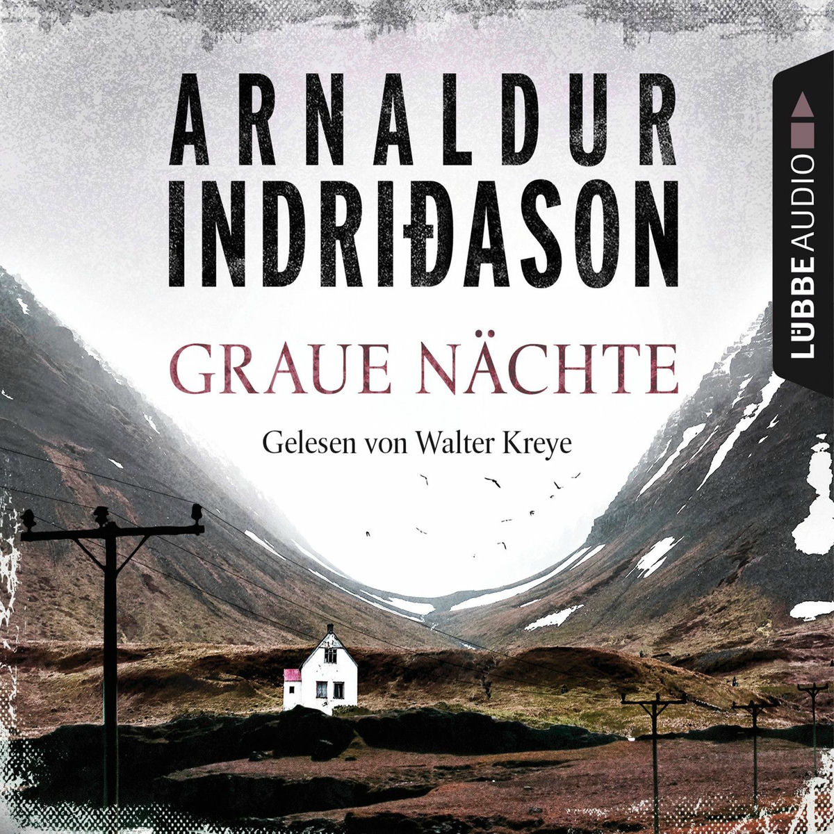 Album cover of Graue Nächte - Island-Krimi - Flovent-Thorson-Krimis 2 (Gekürzt)