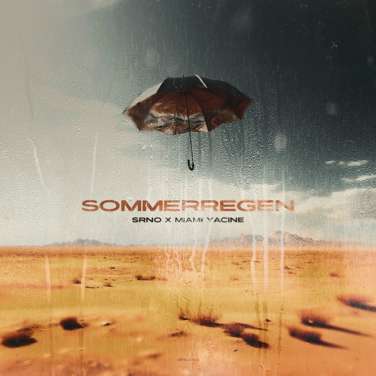 Album cover of Sommerregen