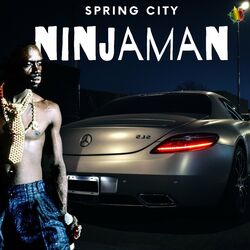 Cover of Spring City