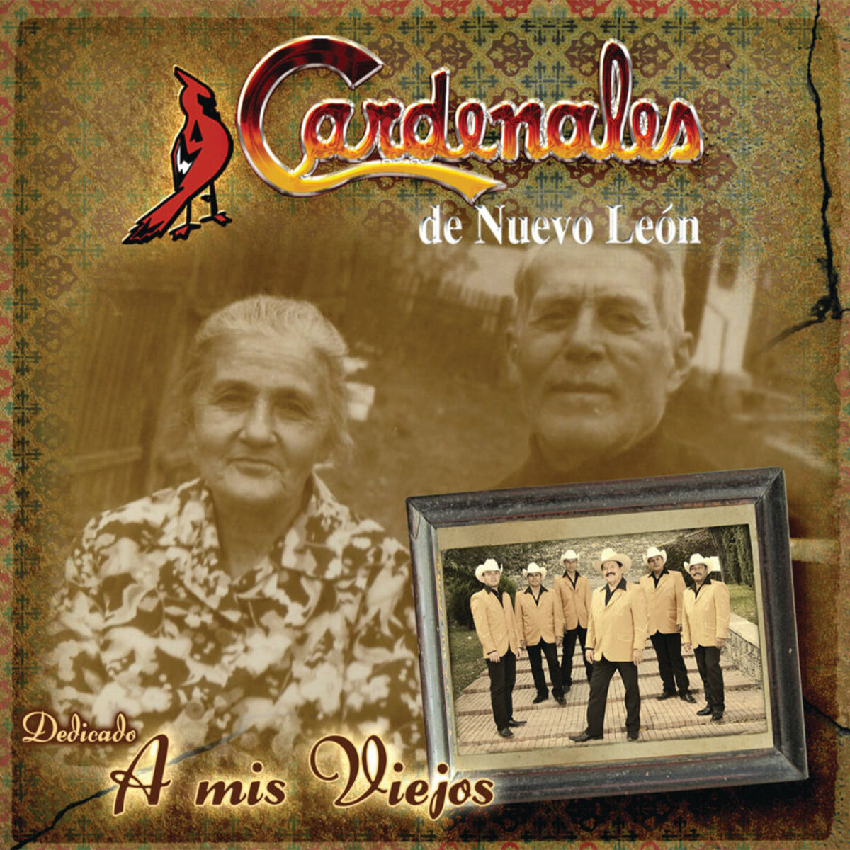 Album cover of A Mis Viejos