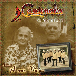 Cover of A Mis Viejos