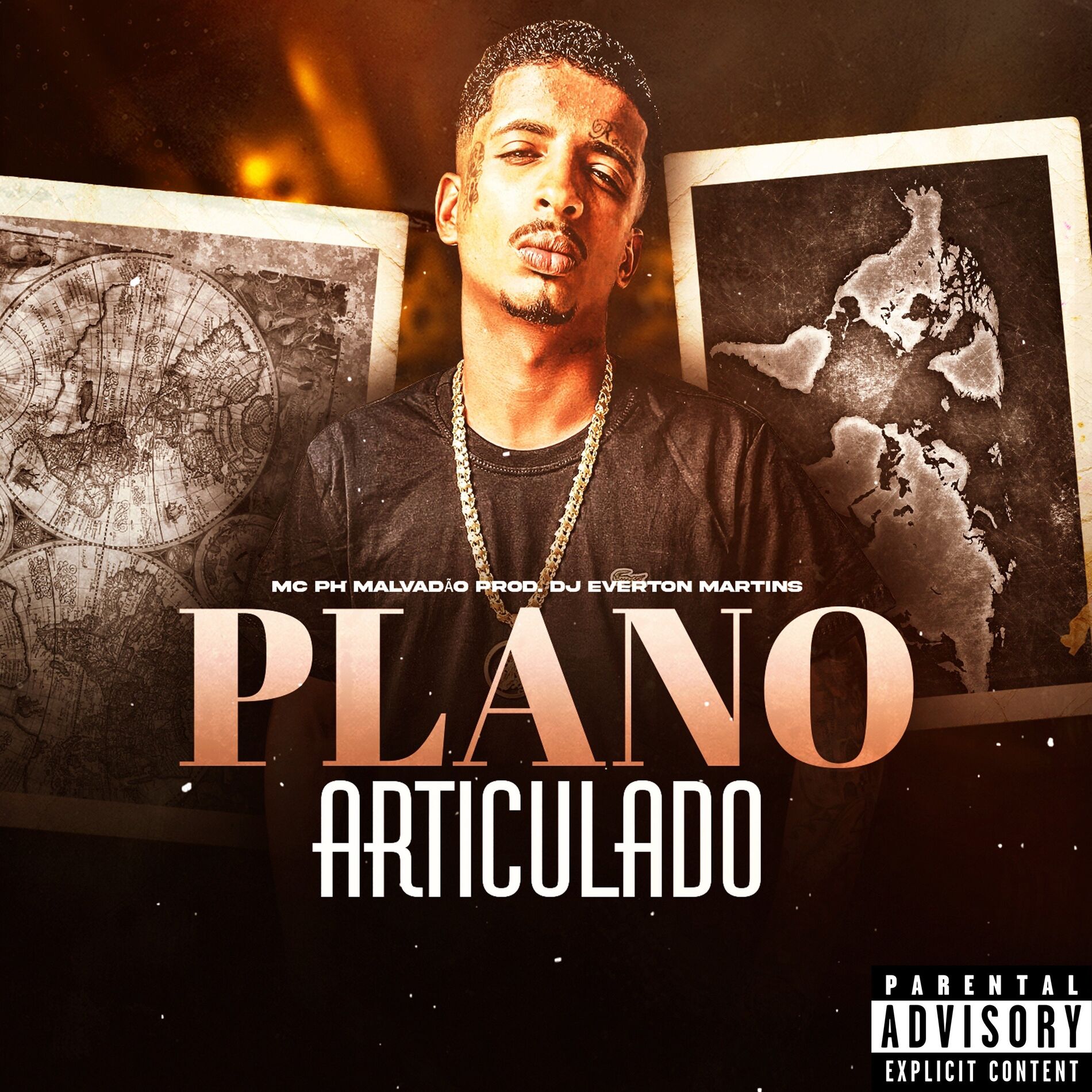 Album cover of Plano Articulado