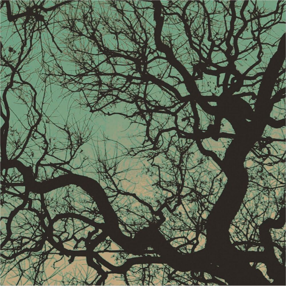 Picture of Föllakzoid