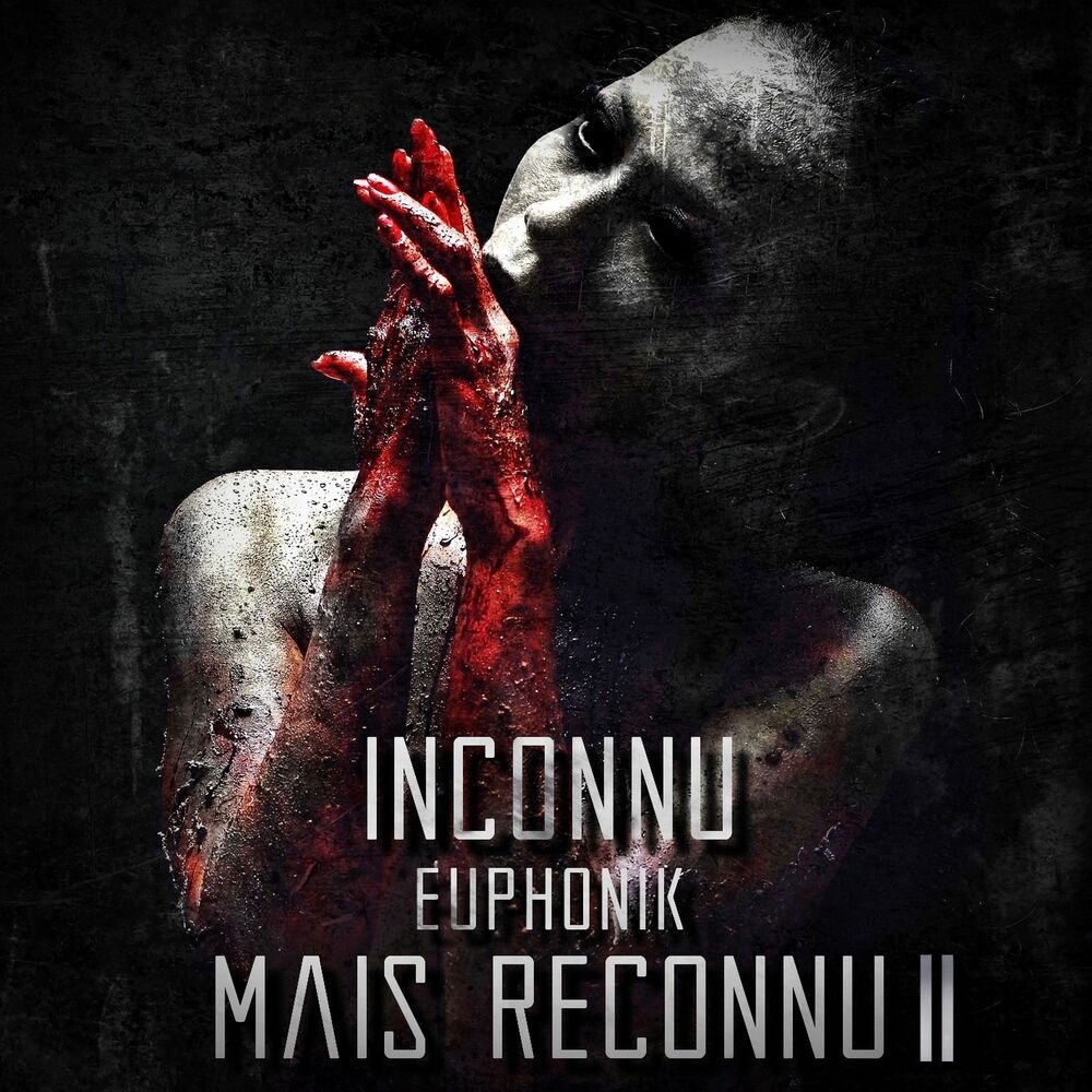 Picture of Inconnu mais reconnu II