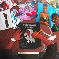 Cover of Going Through Some Things