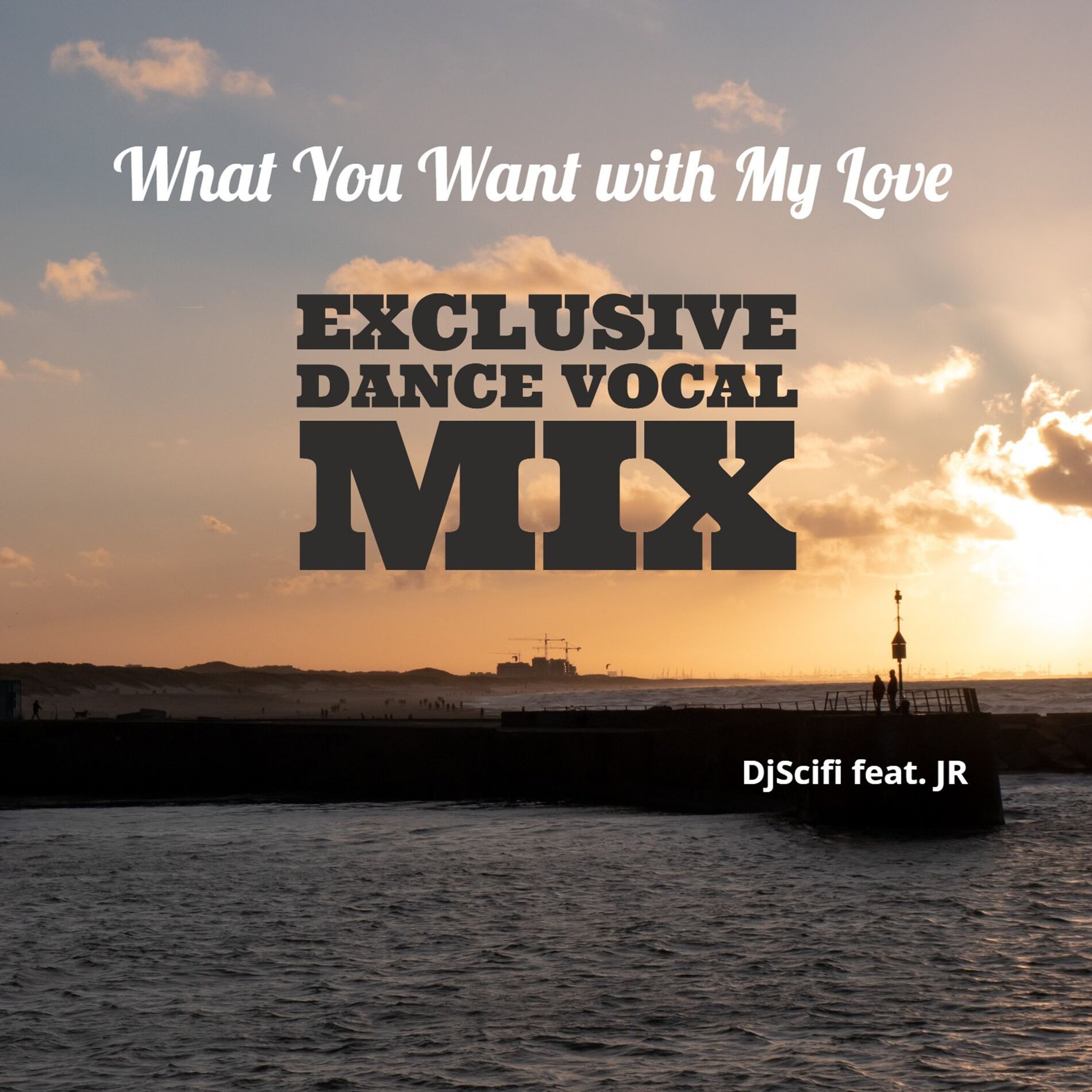 Album cover of What You Want with My Love (Exclusive Dance Vocal Mix)