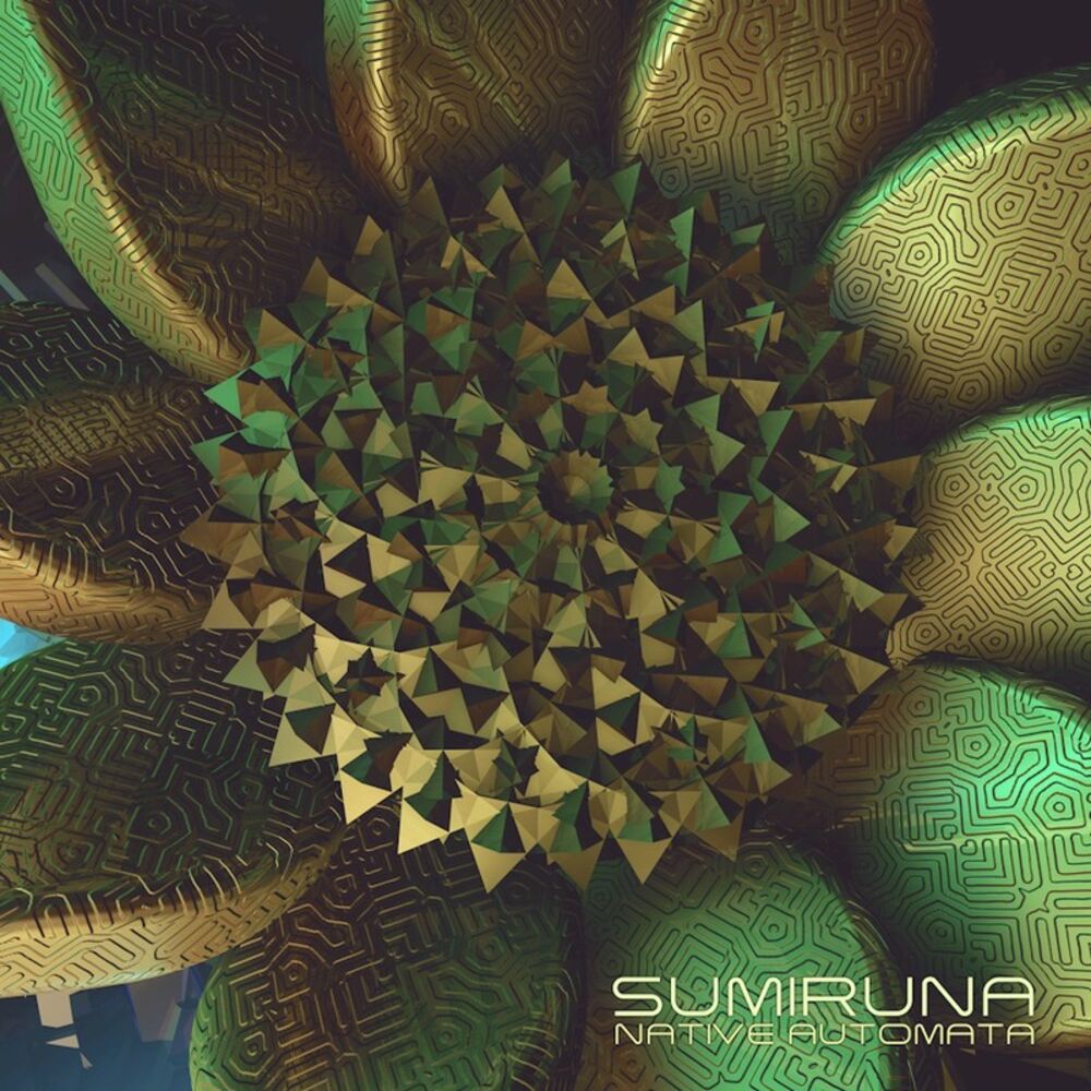 Picture of Native Automata