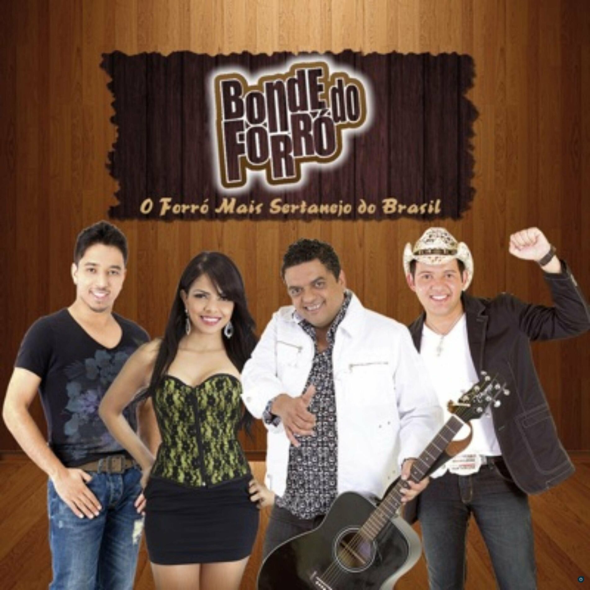 Album cover of O Forró Mais Sertanejo do Brasil