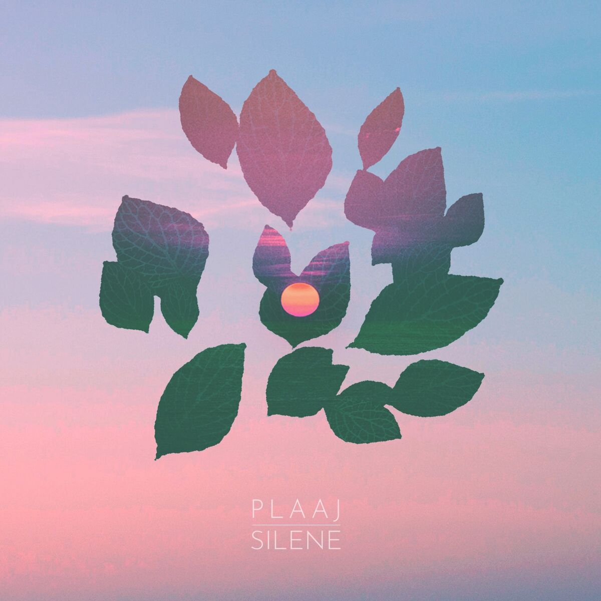 Album cover of Laiap