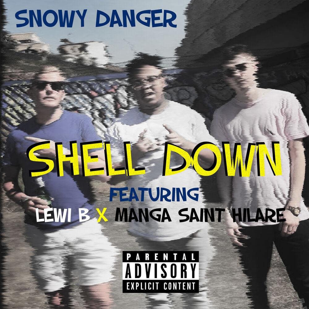 Picture of Shell Down