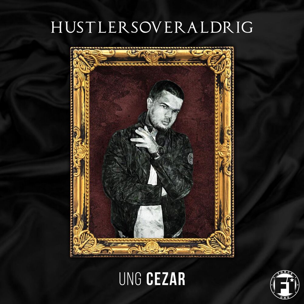 Picture of HustlerSoverAldrig