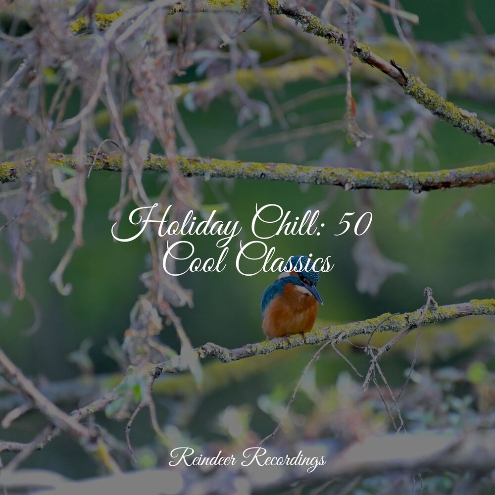 Picture of Holiday Chill: 50 Cool Classics