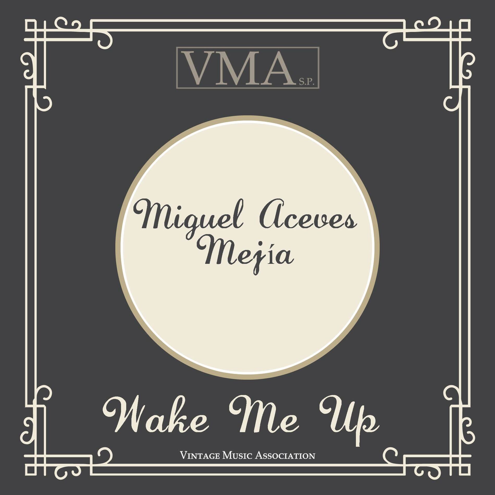 Album cover of Wake Me Up