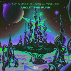 Cover of About The Funk
