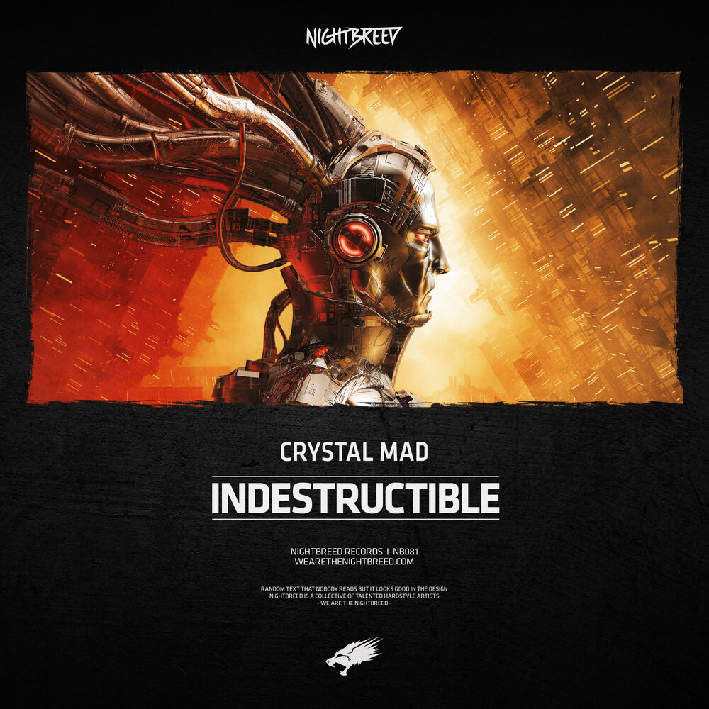 Picture of Indestructible