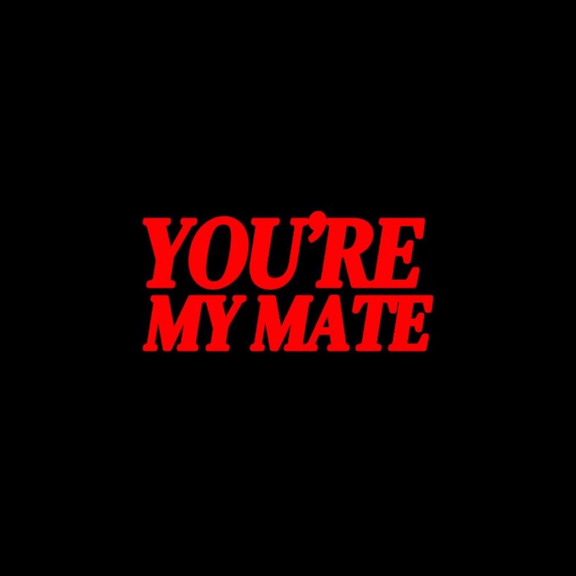 Album cover of You're my mate (feat. Right Said Fred) [(Syyfeld & Ali Version)]