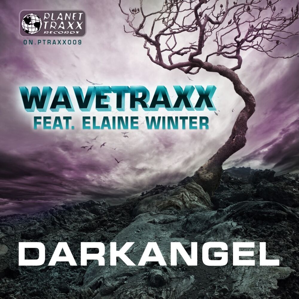Picture of Darkangel (feat. Elaine Winter)