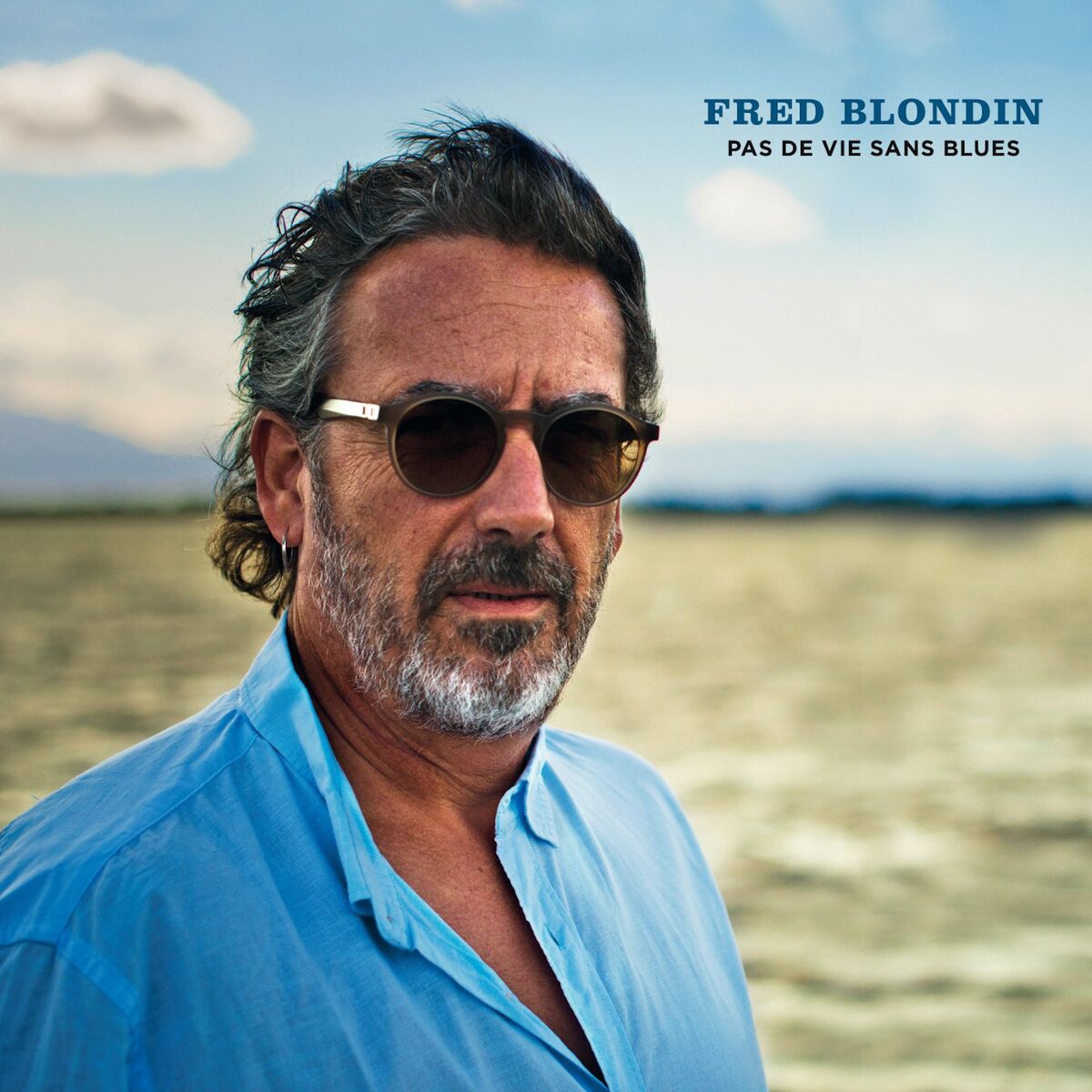 Album cover of Pas de vie sans blues