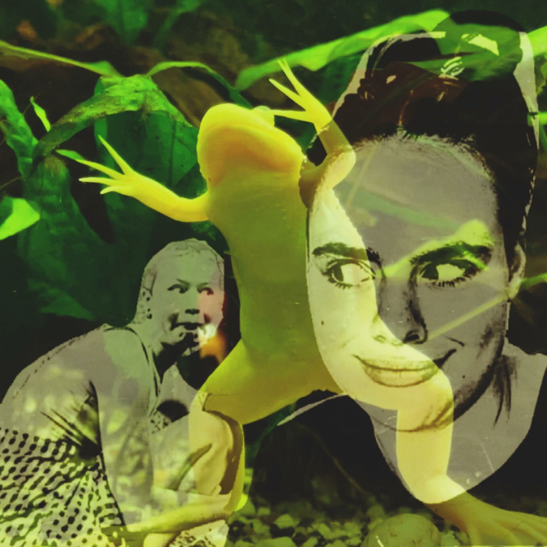 Album cover of More (feat. Eleonora)