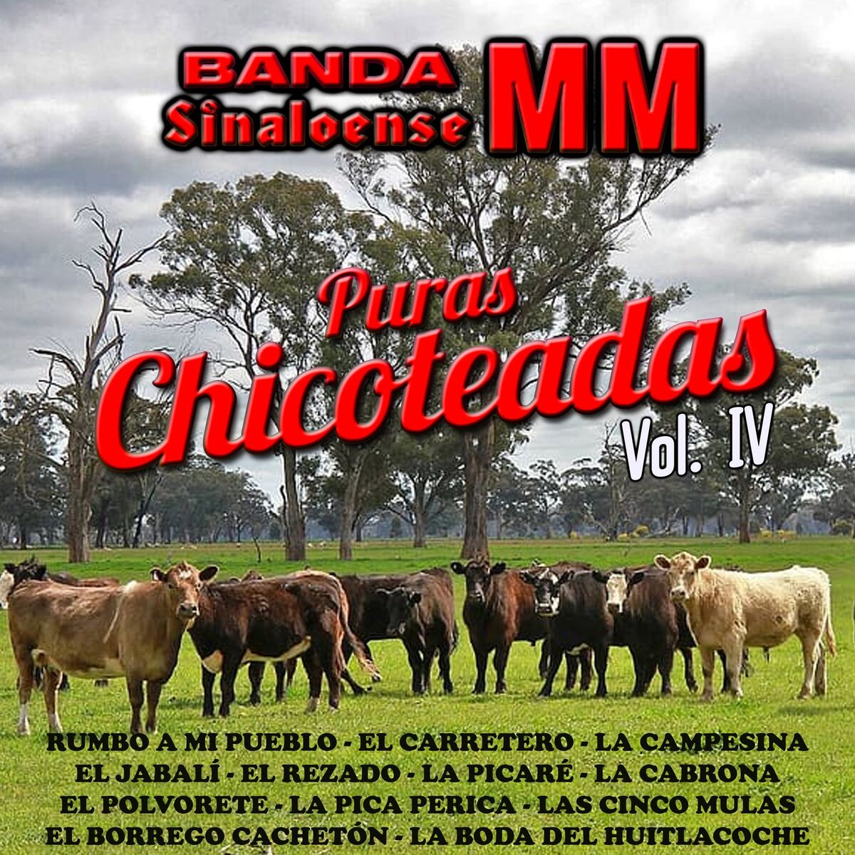 Album cover of Puras Chicoteadas, Vol. 4