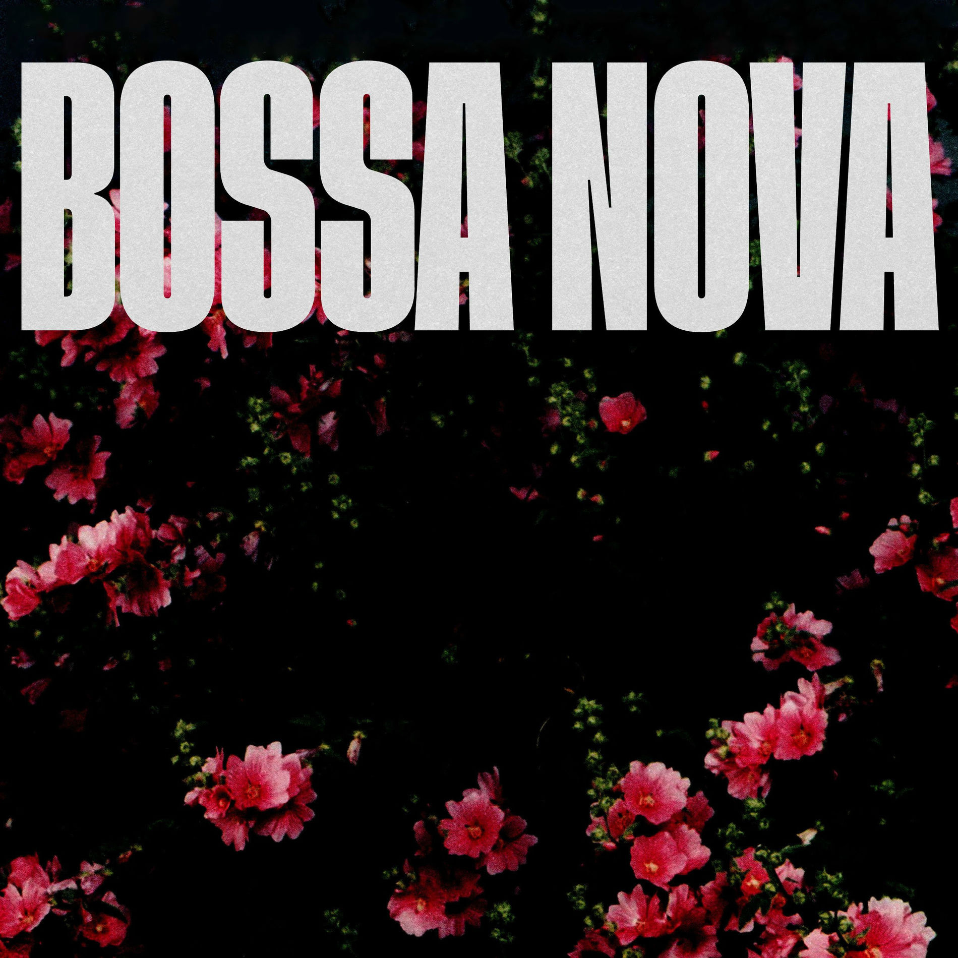 Album cover of Bossa Nova