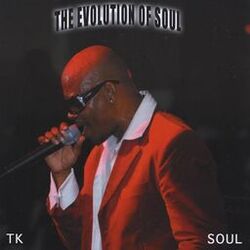 Cover of The Evolution of Soul