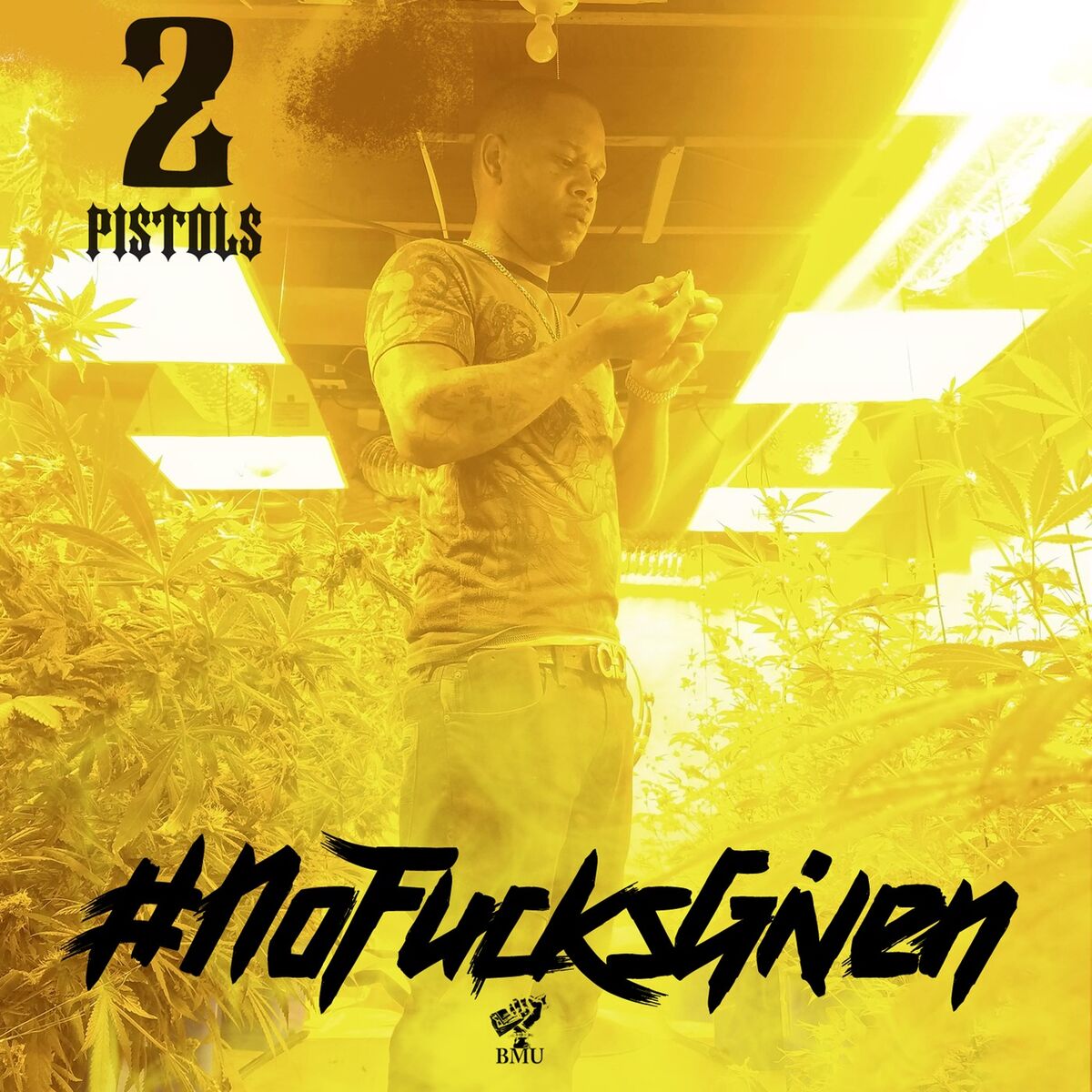 Album cover of No Fucks Given