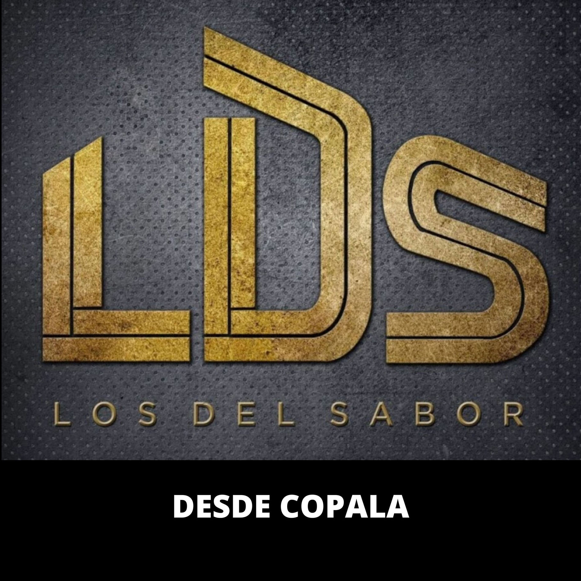 Album cover of Desde Copala (En Vivo)