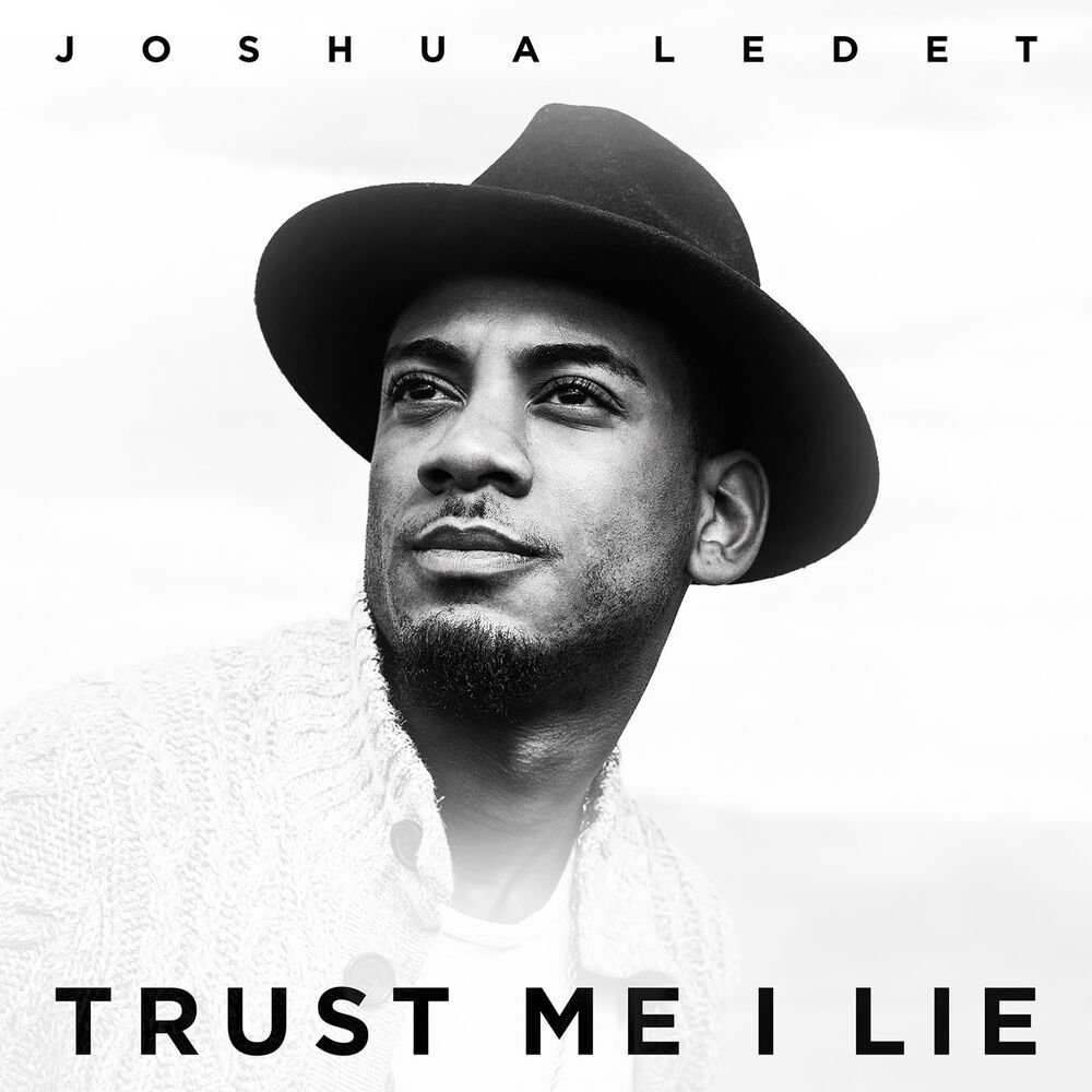 Picture of Trust Me I Lie