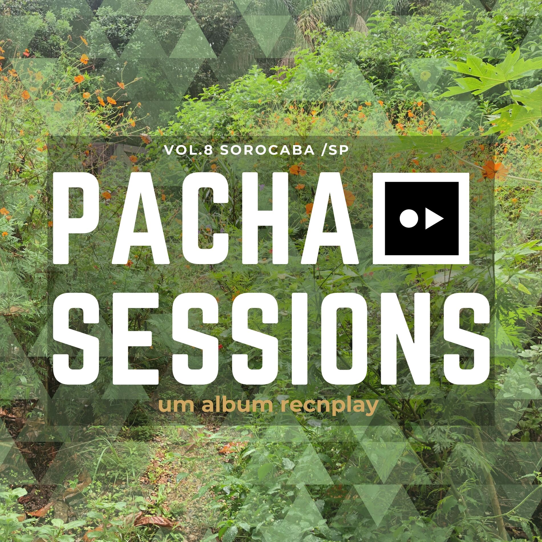 Album cover of Pacha Sessions, Vol. 8