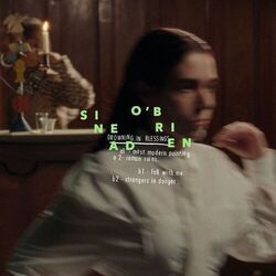 Cover of Drowning in Blessings