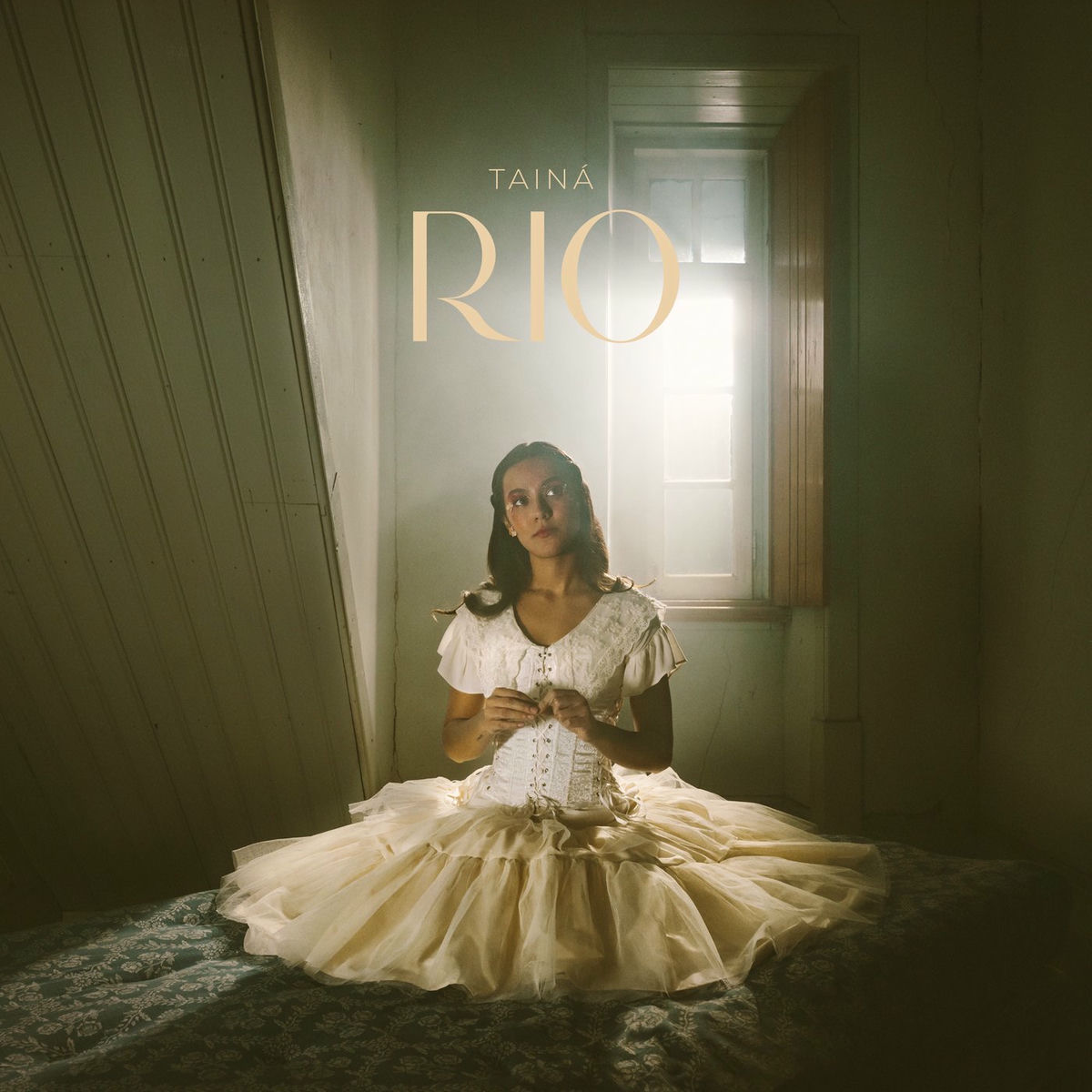 Album cover of Rio