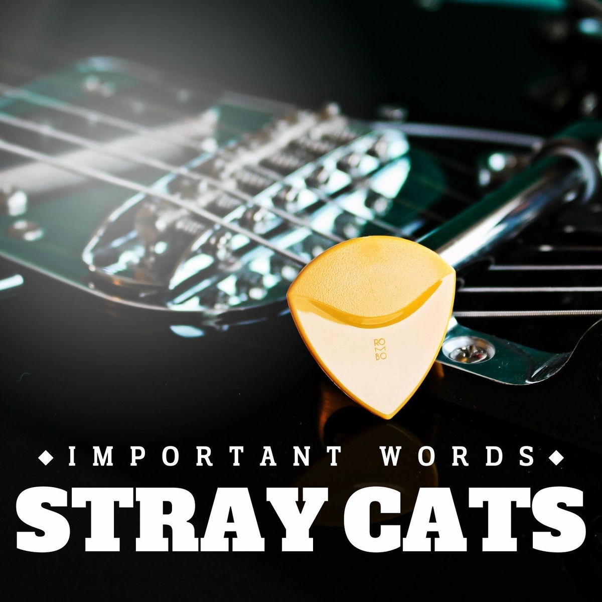 Album cover of Important Words
