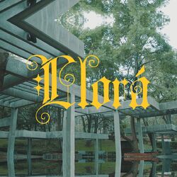 Cover of Llorá