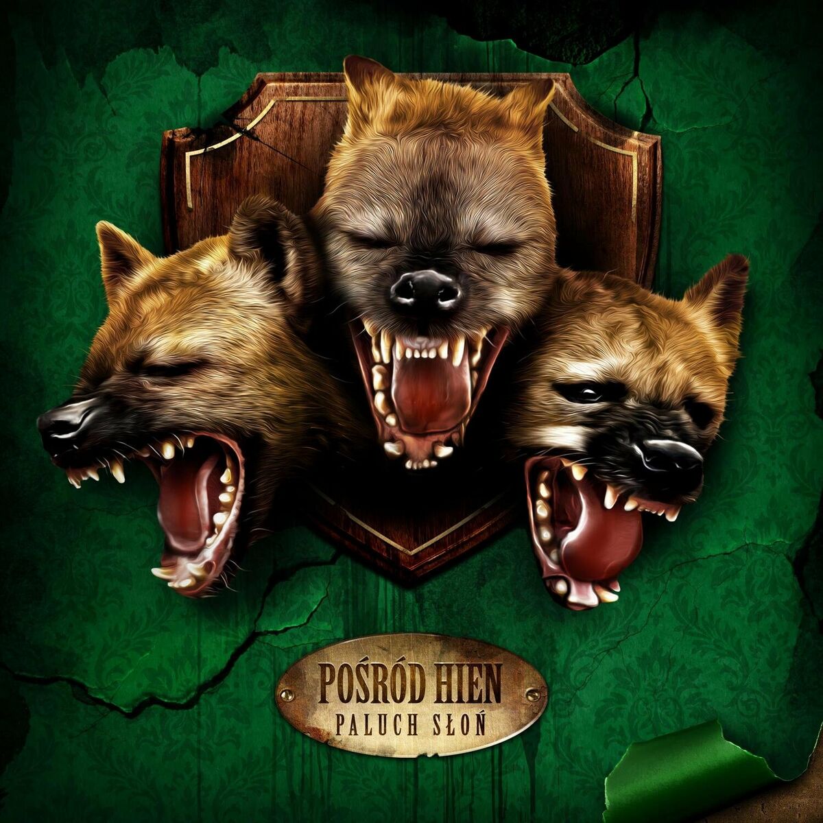 Album cover of Kakato Geri