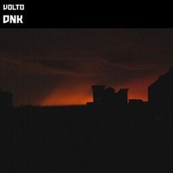 Cover of Dnk