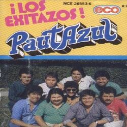 Cover of Los Exitazos