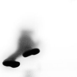 Cover of Takkan