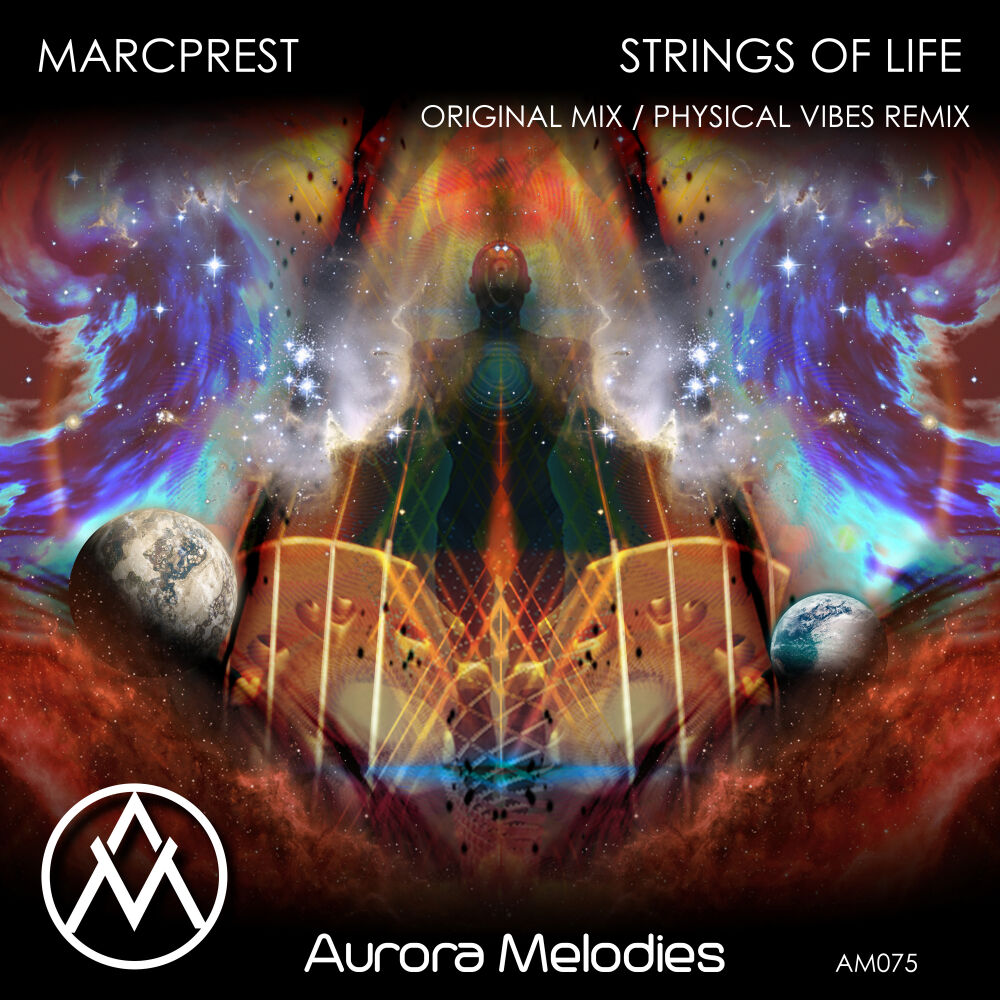Picture of Strings of life