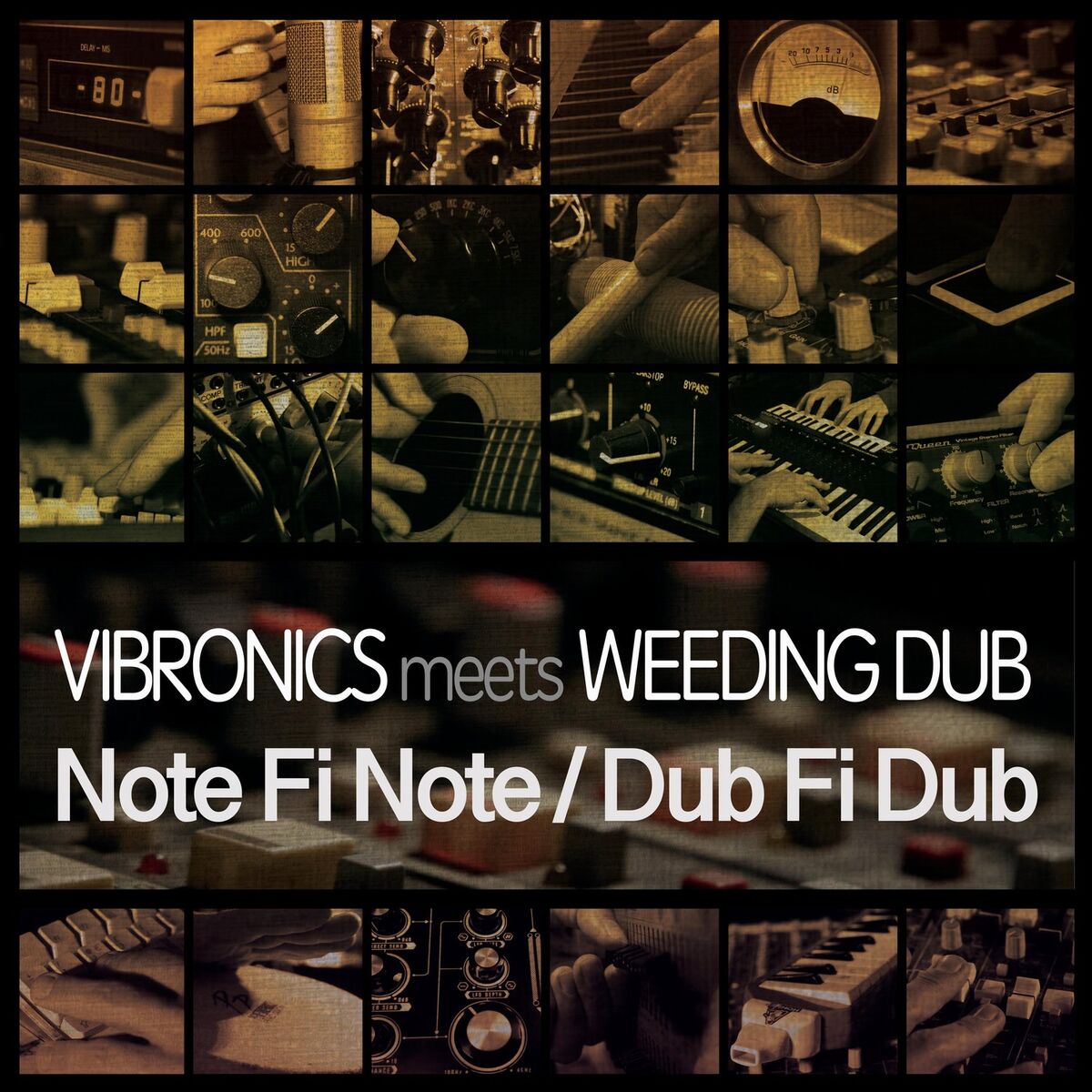 Album cover of IRS Dub